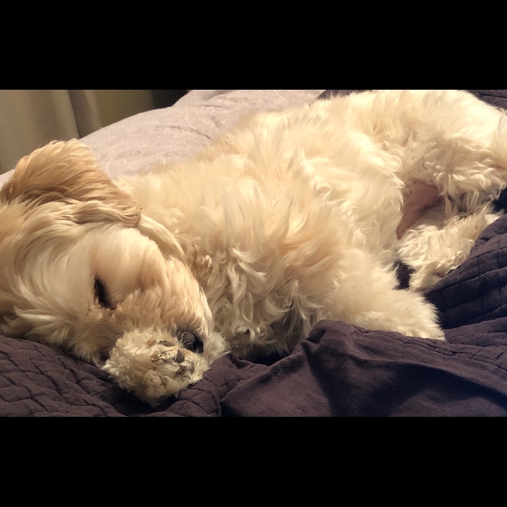 Meet your Posher, Ms. L